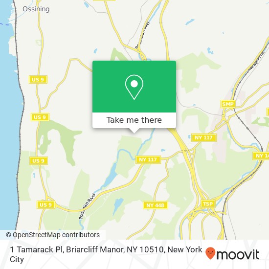 Mapa de 1 Tamarack Pl, Briarcliff Manor, NY 10510