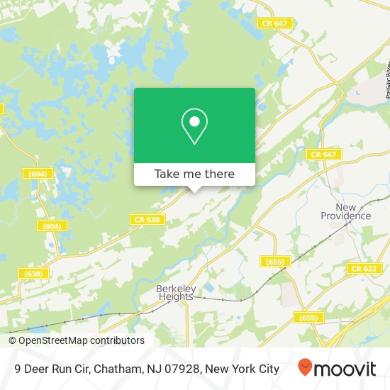 Mapa de 9 Deer Run Cir, Chatham, NJ 07928