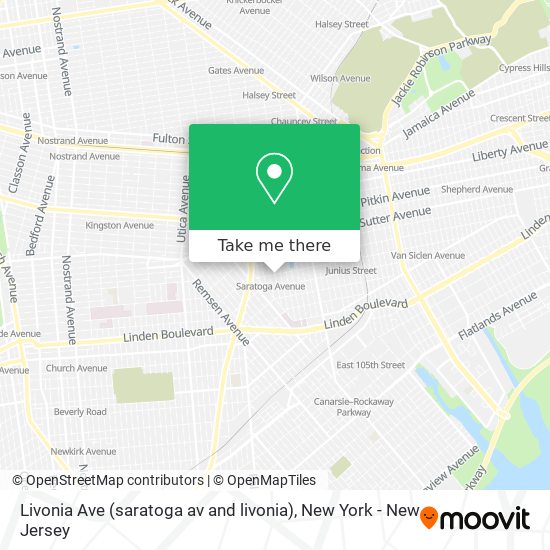 Mapa de Livonia Ave (saratoga av and livonia)