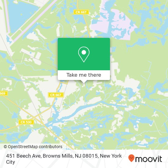 451 Beech Ave, Browns Mills, NJ 08015 map