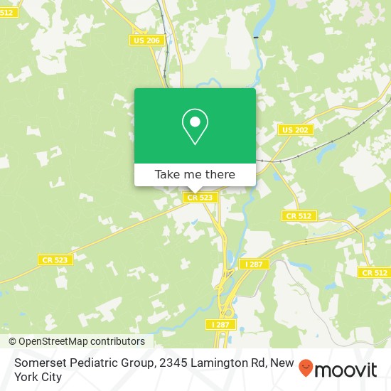 Somerset Pediatric Group, 2345 Lamington Rd map