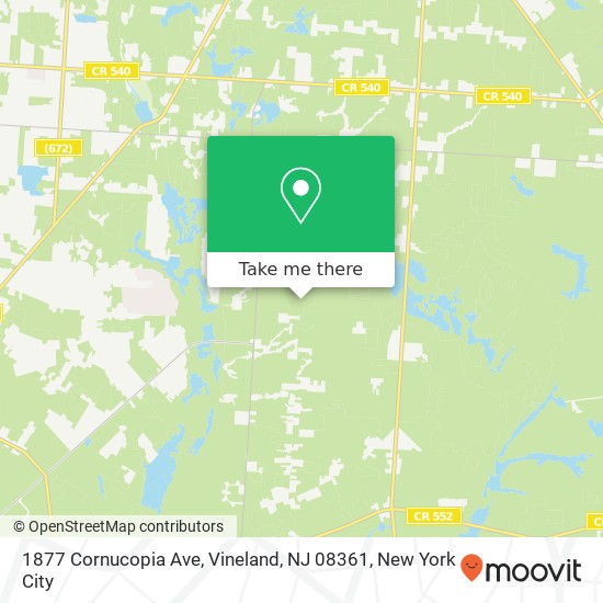 Mapa de 1877 Cornucopia Ave, Vineland, NJ 08361