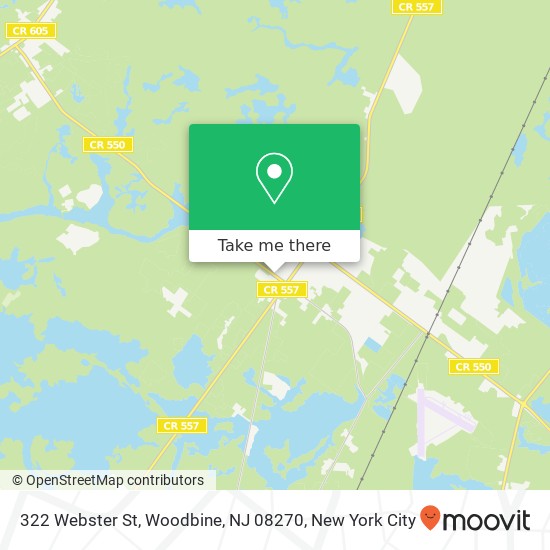 Mapa de 322 Webster St, Woodbine, NJ 08270