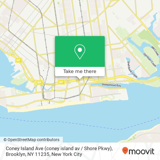 Mapa de Coney Island Ave (coney island av / Shore Pkwy), Brooklyn, NY 11235