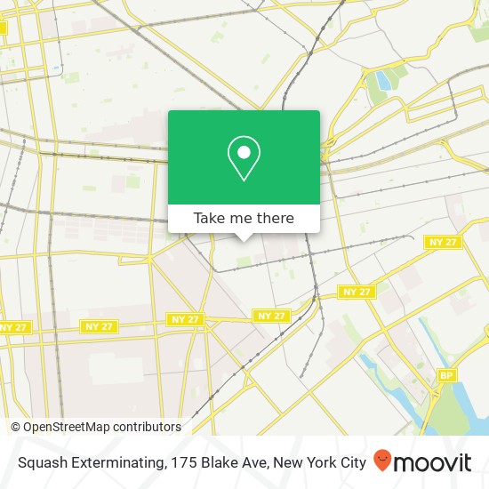 Squash Exterminating, 175 Blake Ave map