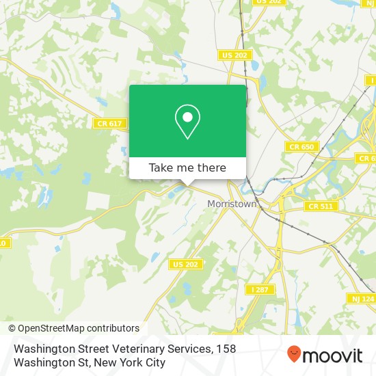 Mapa de Washington Street Veterinary Services, 158 Washington St