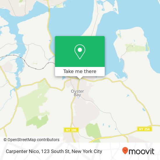 Mapa de Carpenter Nico, 123 South St