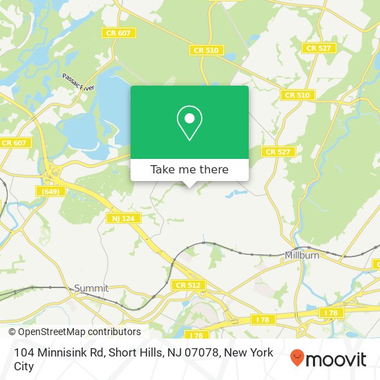 104 Minnisink Rd, Short Hills, NJ 07078 map