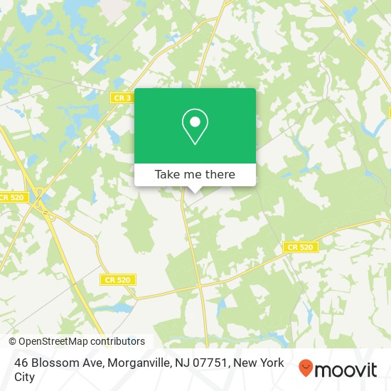 Mapa de 46 Blossom Ave, Morganville, NJ 07751