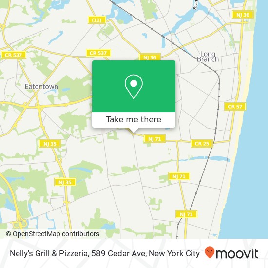 Mapa de Nelly's Grill & Pizzeria, 589 Cedar Ave