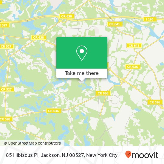 85 Hibiscus Pl, Jackson, NJ 08527 map