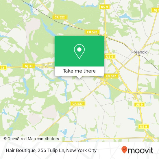 Hair Boutique, 256 Tulip Ln map