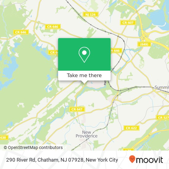 Mapa de 290 River Rd, Chatham, NJ 07928