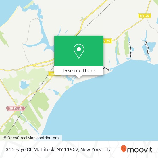 315 Faye Ct, Mattituck, NY 11952 map