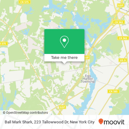 Ball Mark Shark, 223 Tallowwood Dr map