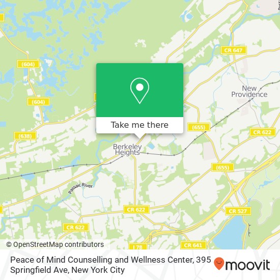 Mapa de Peace of Mind Counselling and Wellness Center, 395 Springfield Ave