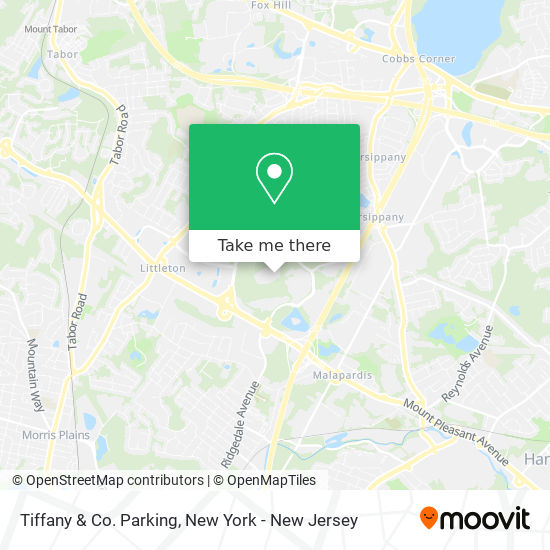 Mapa de Tiffany & Co. Parking