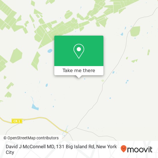 David J McConnell MD, 131 Big Island Rd map