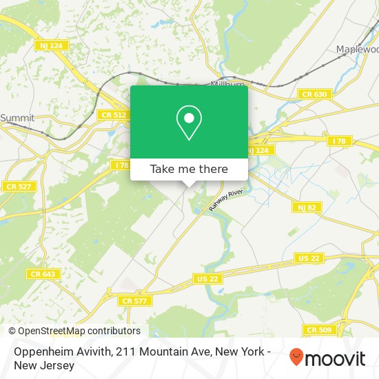 Oppenheim Avivith, 211 Mountain Ave map