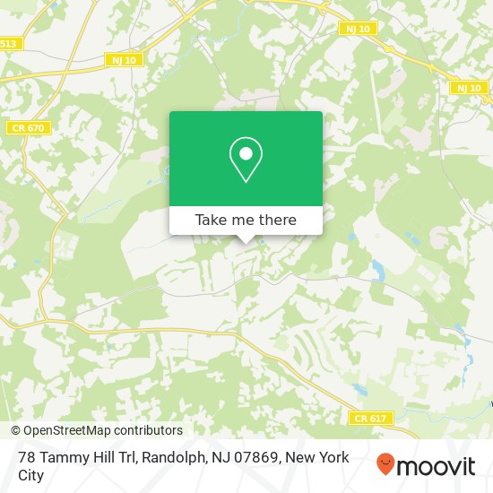 78 Tammy Hill Trl, Randolph, NJ 07869 map