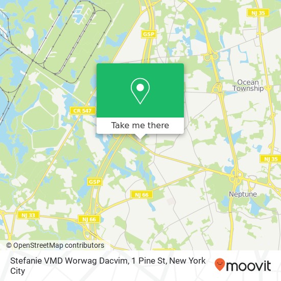 Stefanie VMD Worwag Dacvim, 1 Pine St map