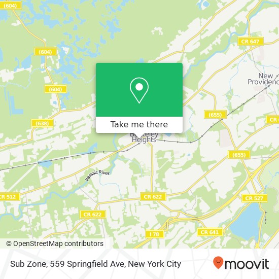 Mapa de Sub Zone, 559 Springfield Ave