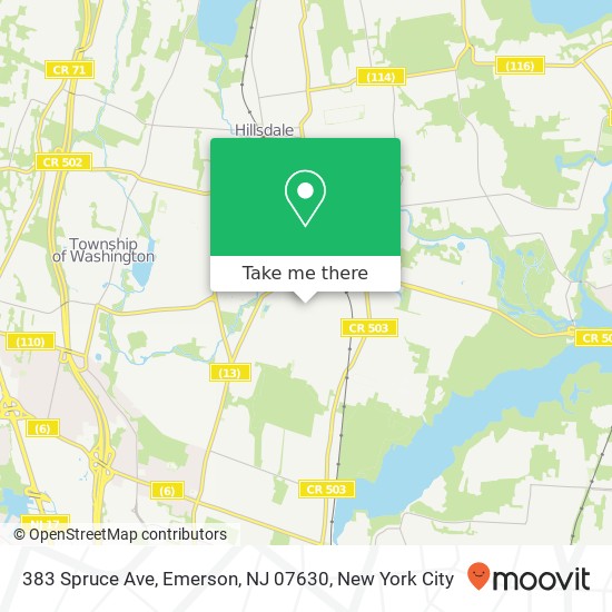 383 Spruce Ave, Emerson, NJ 07630 map