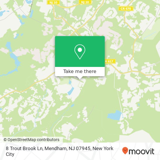 8 Trout Brook Ln, Mendham, NJ 07945 map