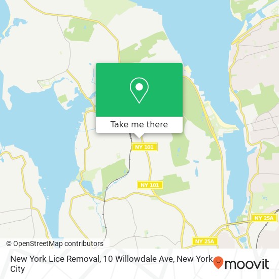 New York Lice Removal, 10 Willowdale Ave map