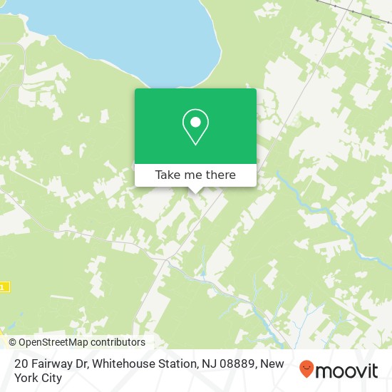 20 Fairway Dr, Whitehouse Station, NJ 08889 map