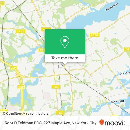 Robt D Feldman DDS, 227 Maple Ave map
