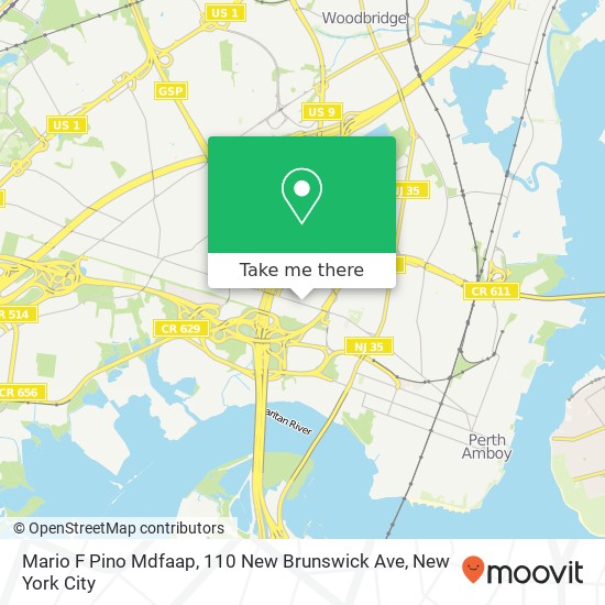 Mario F Pino Mdfaap, 110 New Brunswick Ave map