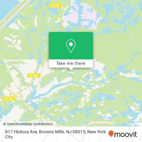 Mapa de 817 Hickory Ave, Browns Mills, NJ 08015