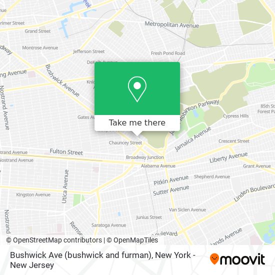 Bushwick Ave (bushwick and furman) map