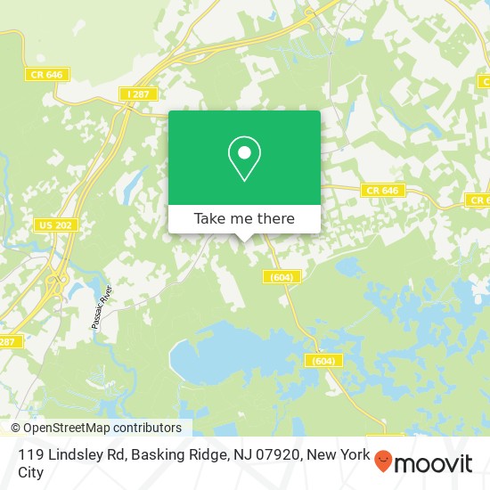 Mapa de 119 Lindsley Rd, Basking Ridge, NJ 07920