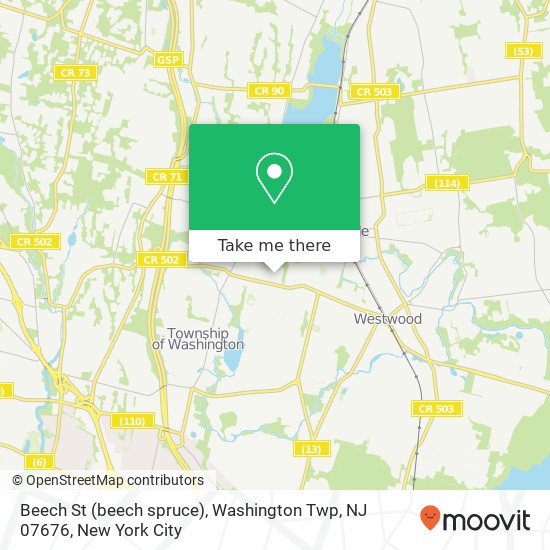 Beech St (beech spruce), Washington Twp, NJ 07676 map