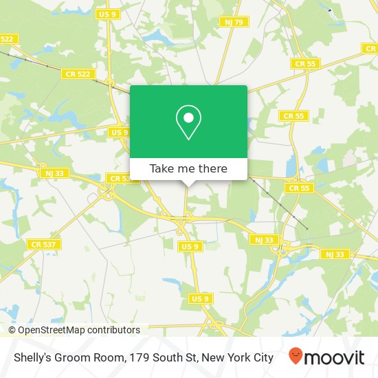 Shelly's Groom Room, 179 South St map