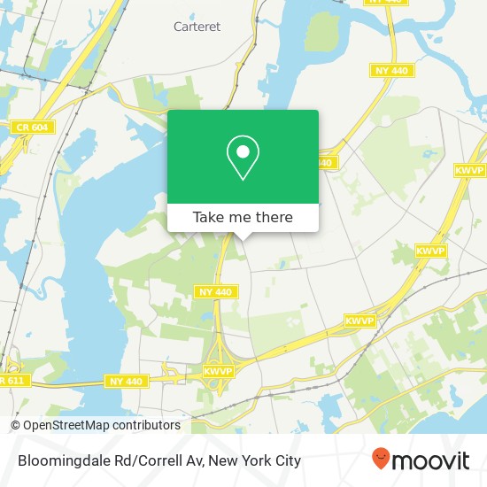 Bloomingdale Rd/Correll Av map