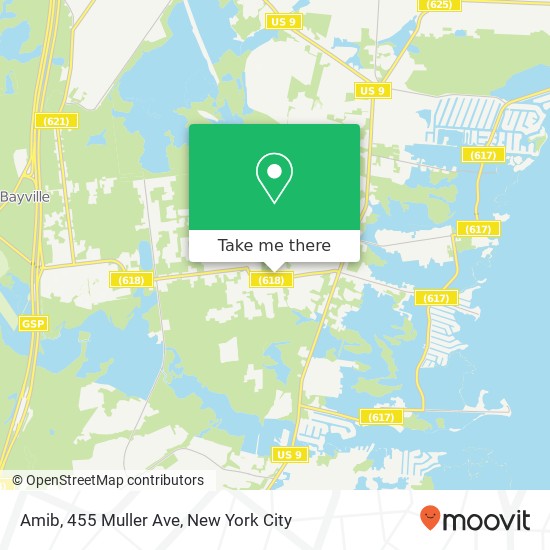 Mapa de Amib, 455 Muller Ave