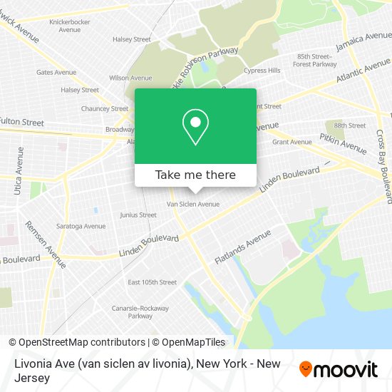 Mapa de Livonia Ave (van siclen av livonia)