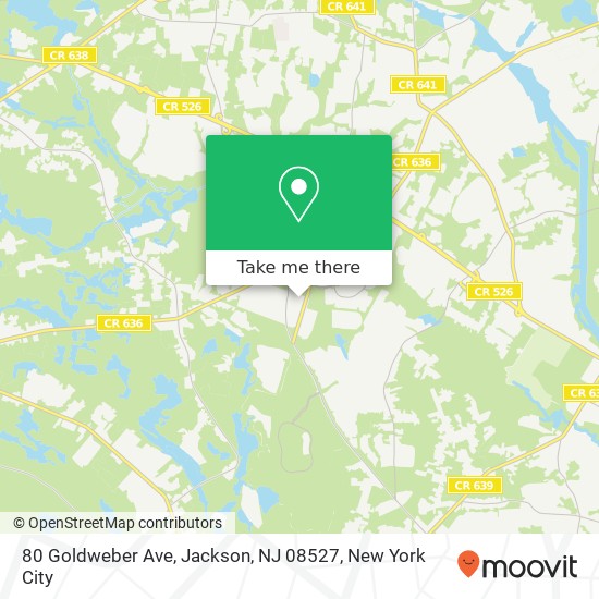 80 Goldweber Ave, Jackson, NJ 08527 map