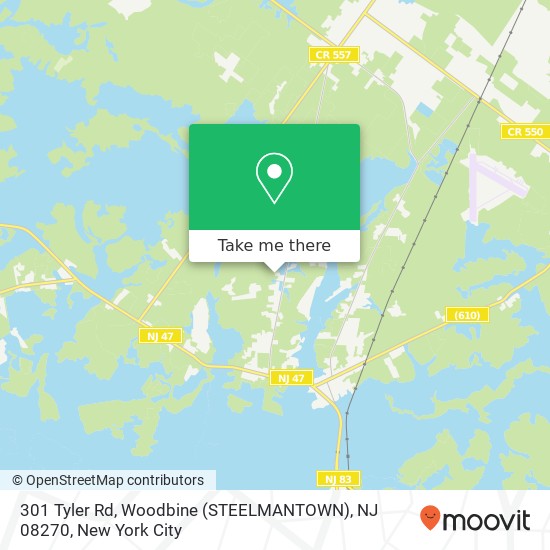 Mapa de 301 Tyler Rd, Woodbine (STEELMANTOWN), NJ 08270