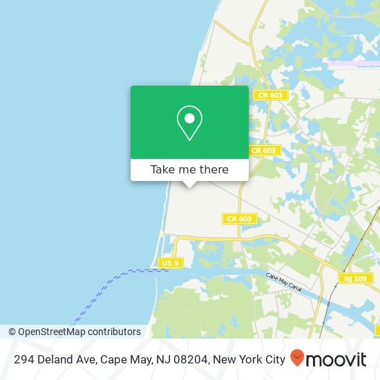 Mapa de 294 Deland Ave, Cape May, NJ 08204