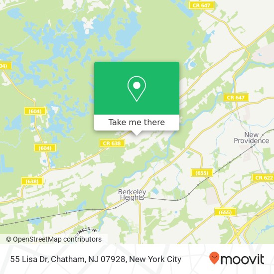Mapa de 55 Lisa Dr, Chatham, NJ 07928
