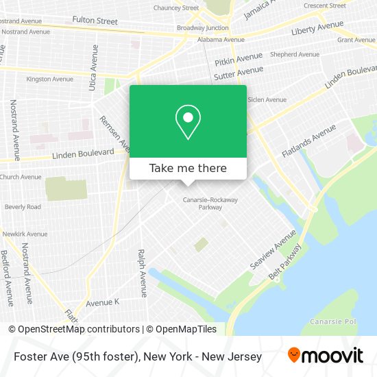 Foster Ave (95th foster) map
