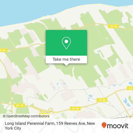 Mapa de Long Island Perennial Farm, 159 Reeves Ave