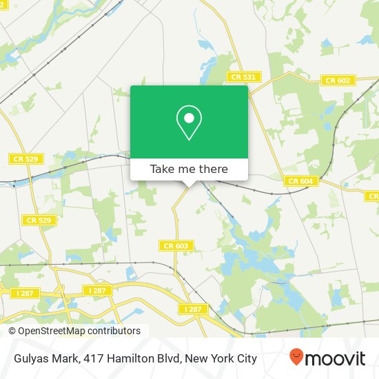 Gulyas Mark, 417 Hamilton Blvd map