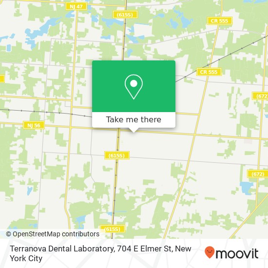 Terranova Dental Laboratory, 704 E Elmer St map