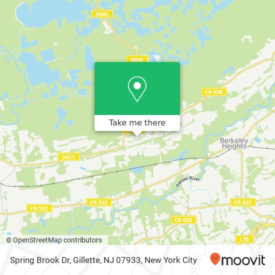 Spring Brook Dr, Gillette, NJ 07933 map