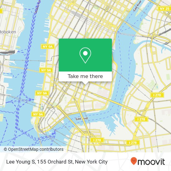 Lee Young S, 155 Orchard St map